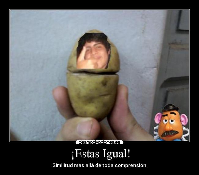 ¡Estas Igual! - Similitud mas allá de toda comprension.