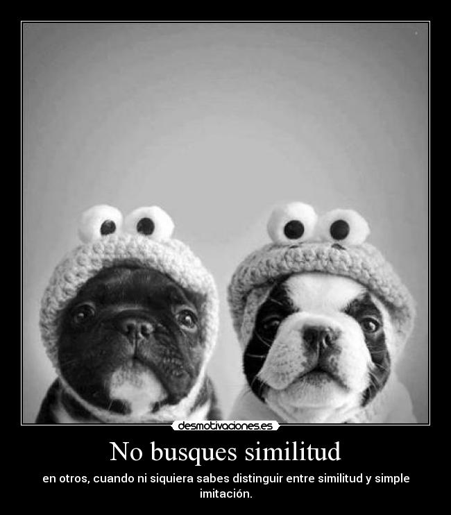No busques similitud - 