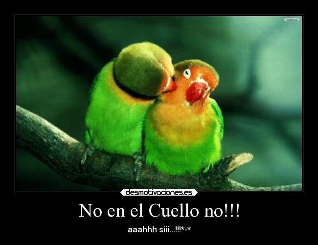 No en el Cuello no!!! - aaahhh siii...!!!*-*