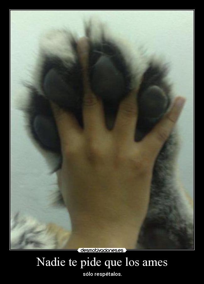 Nadie te pide que los ames - sólo respétalos.