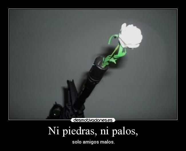 Ni piedras, ni palos, - solo amigos malos.