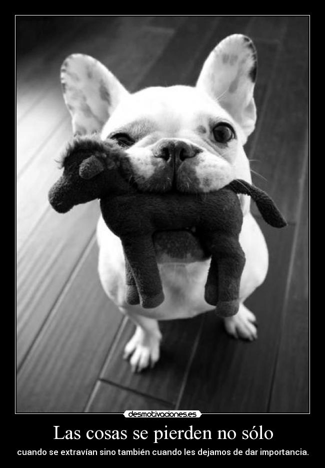 Las cosas se pierden no sólo - cuando se extravían sino también cuando les dejamos de dar importancia.