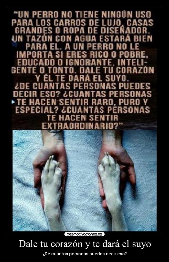 Dale tu corazón y te dará el suyo -