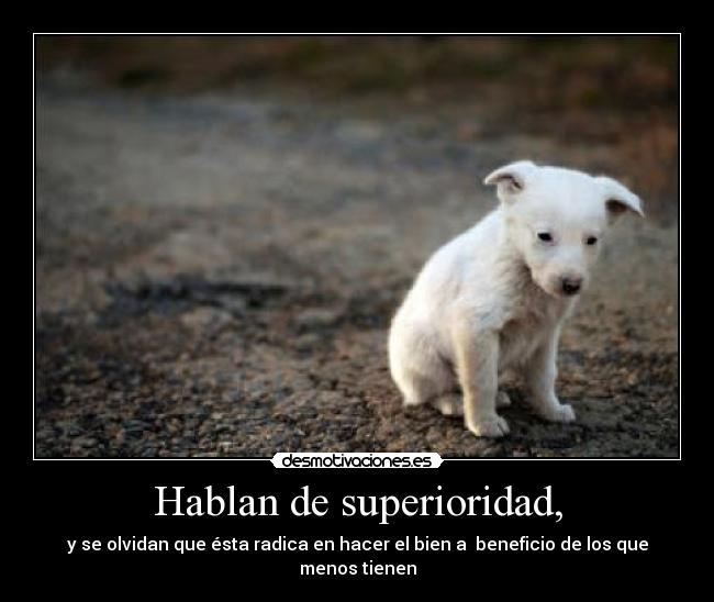 Hablan de superioridad, - y se olvidan que ésta radica en hacer el bien a  beneficio de los que menos tienen