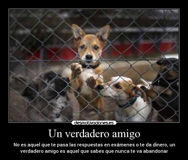 Un verdadero amigo - No es aquel que te pasa las respuestas en exámenes o te da dinero, un
verdadero amigo es aquel que sabes que nunca te va abandonar