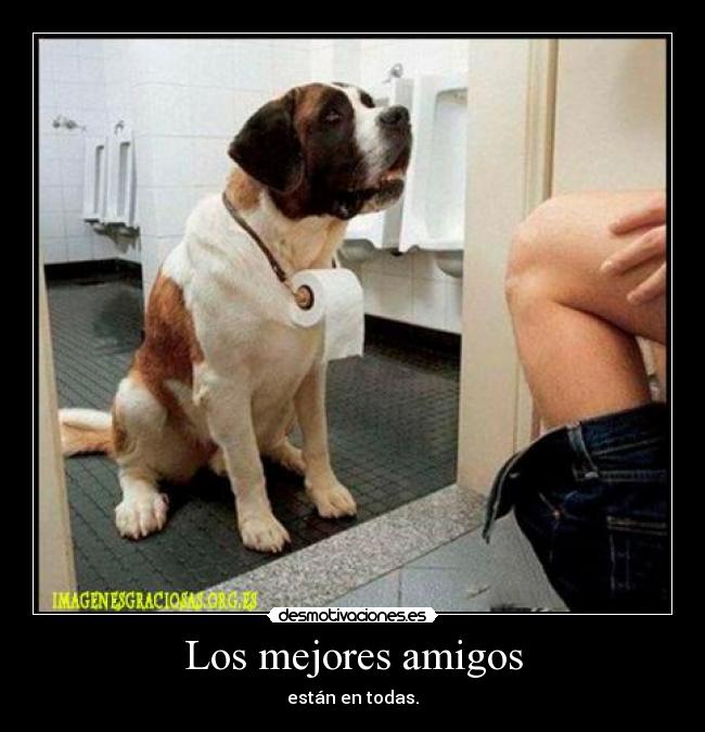 Los mejores amigos -