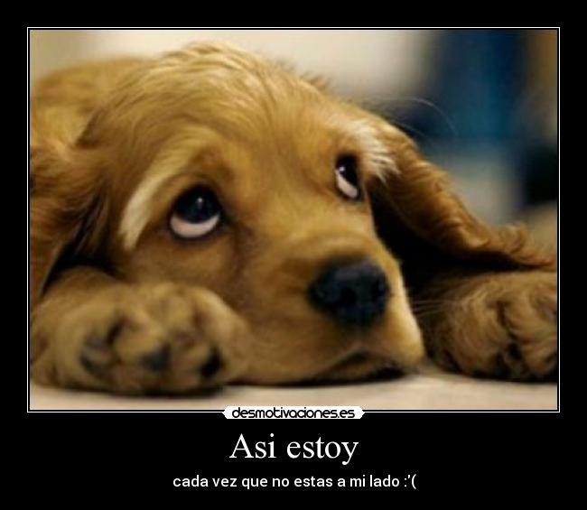 Asi estoy -