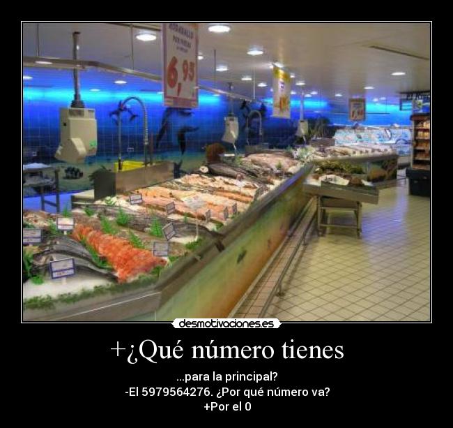 +¿Qué número tienes -