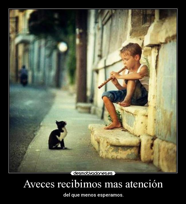 Aveces recibimos mas atención - del que menos esperamos.