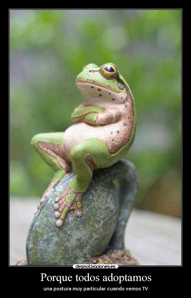 carteles costumbres desmotivaciones