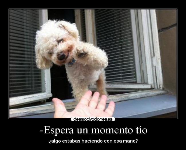 -Espera un momento tío - ¿algo estabas haciendo con esa mano?