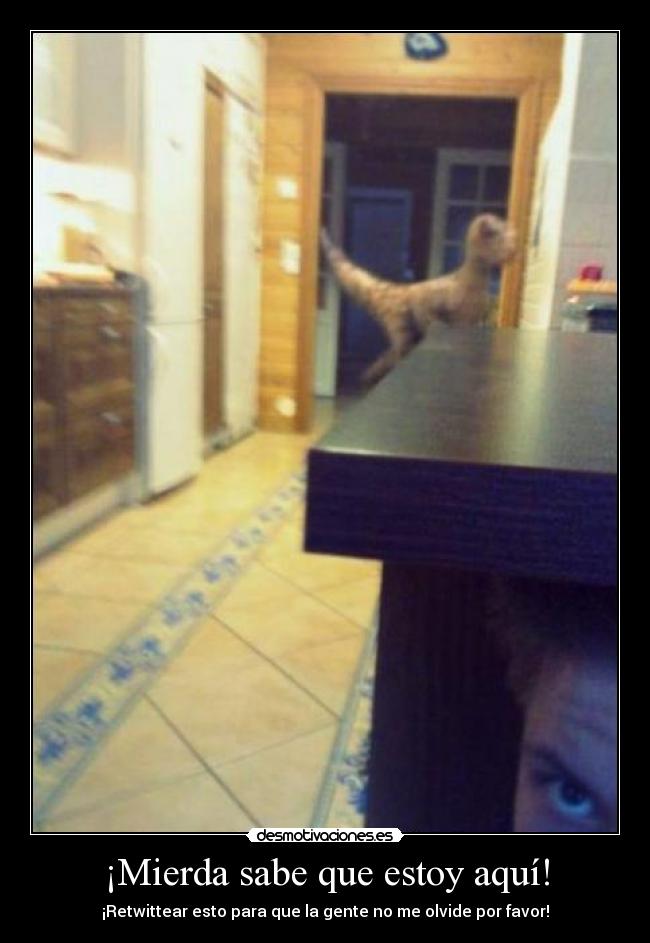 ¡Mierda sabe que estoy aquí! - 