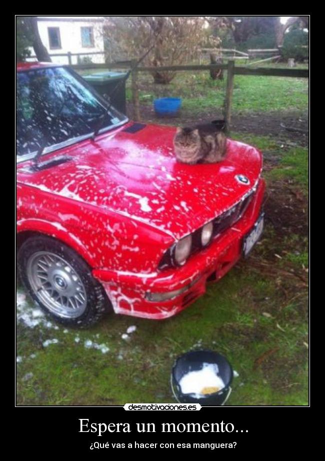 Espera un momento... -