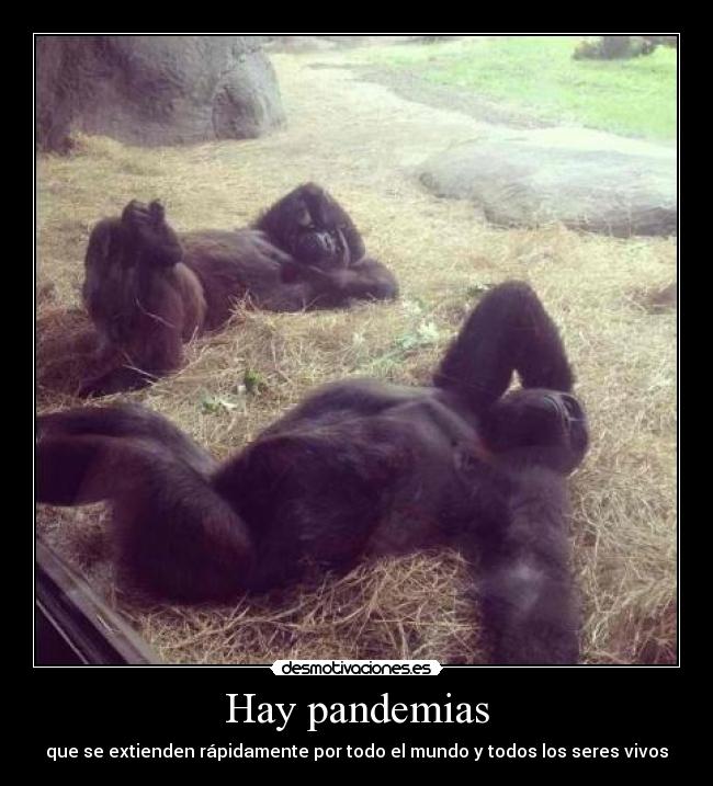 Hay pandemias - 