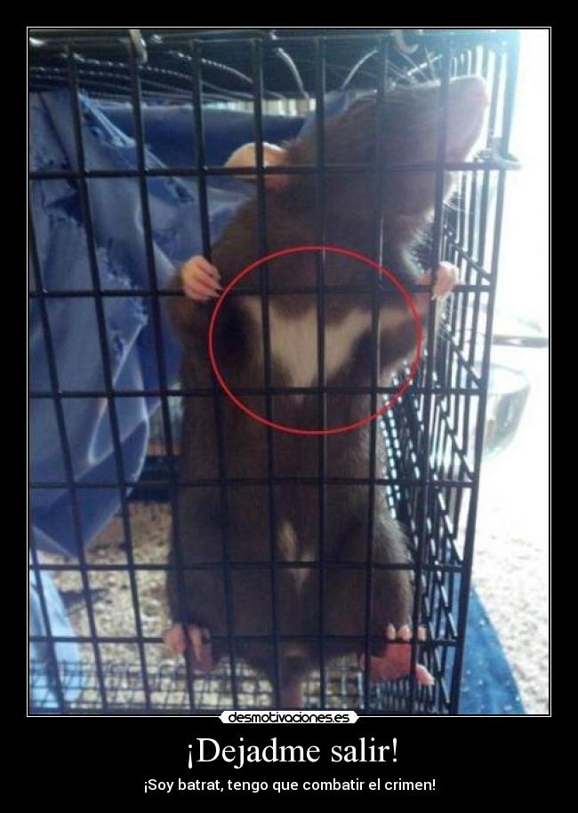 carteles dejadme salir desmotivaciones