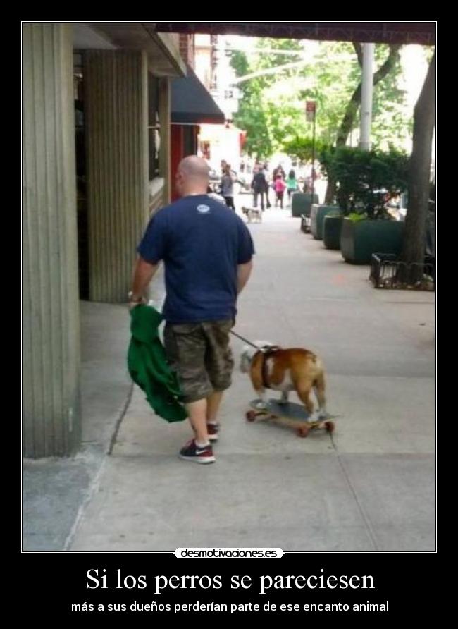 carteles eften perrosmolanmasquegatos zoofilia skater igual princi xddddd desmotivaciones