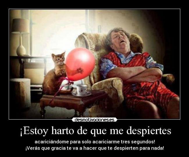 ¡Estoy harto de que me despiertes - acariciándome para solo acariciarme tres segundos!
¡Verás que gracia te va a hacer que te despierten para nada!