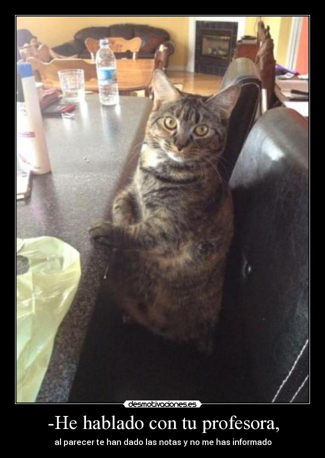 -He hablado con tu profesora, -