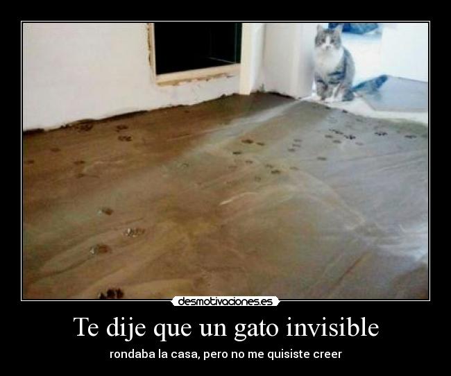 Te dije que un gato invisible - 
