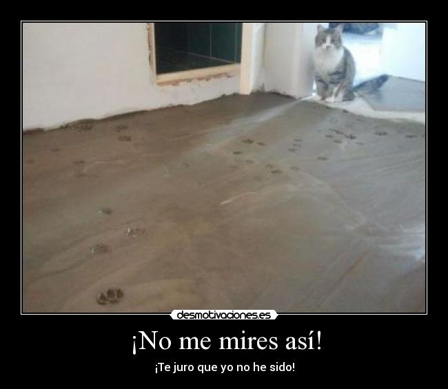 ¡No me mires así! -