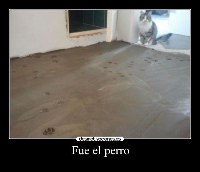 carteles desmofunny desmotivaciones