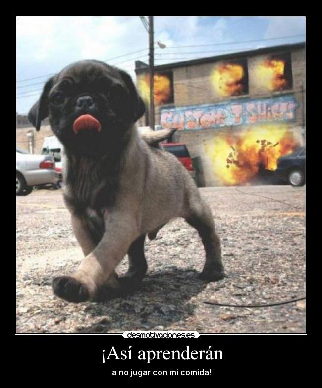 ¡Así aprenderán -