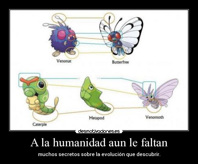 A la humanidad aun le faltan - muchos secretos sobre la evolución que descubrir.