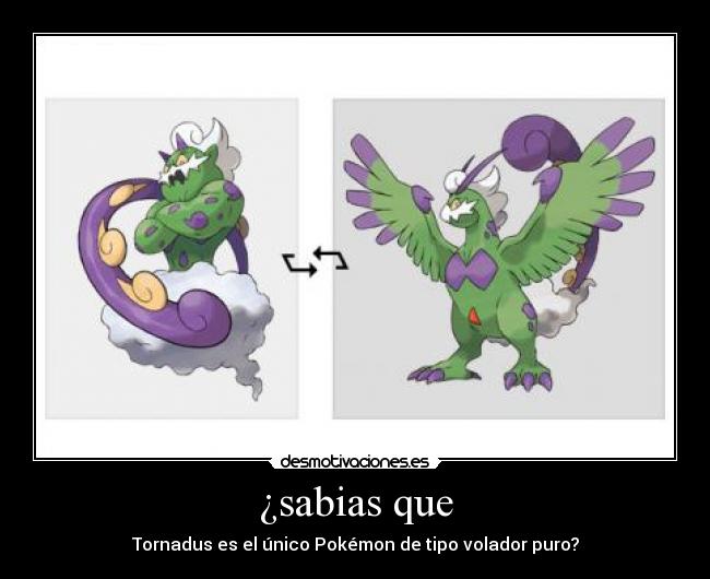 ¿sabias que - Tornadus es el único Pokémon de tipo volador puro?