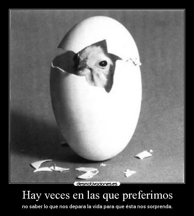 carteles 99carmen22 pollito nacimiento desmotivaciones