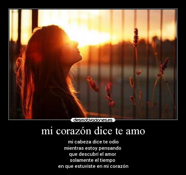 mi corazón dice te amo - mi cabeza dice te odio
mientras estoy pensando 
que descubrí el amor 
solamente el tiempo 
en que estuviste en mi corazón