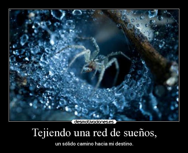 Tejiendo una red de sueños, -
