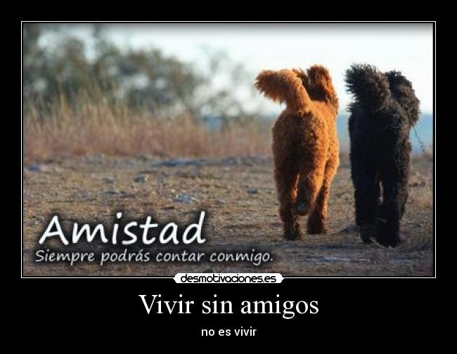 Vivir sin amigos -