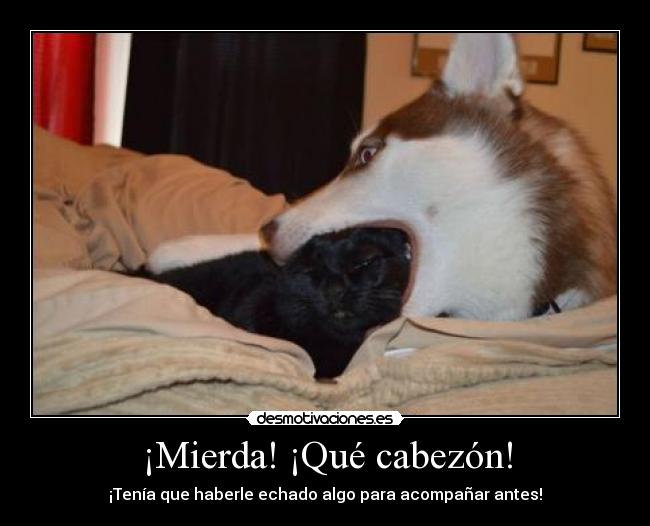 ¡Mierda! ¡Qué cabezón! - 