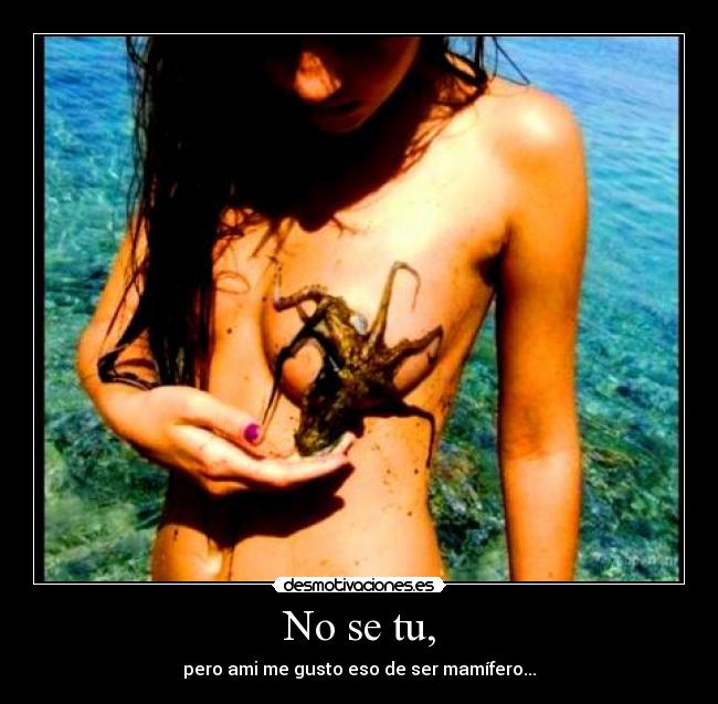 No se tu, -