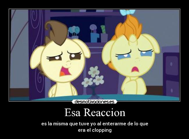 carteles pony desmotivaciones
