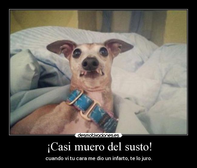 ¡Casi muero del susto! - cuando vi tu cara me dio un infarto, te lo juro.