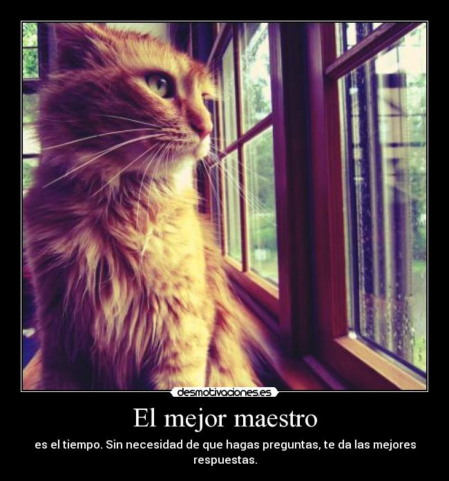 El mejor maestro -