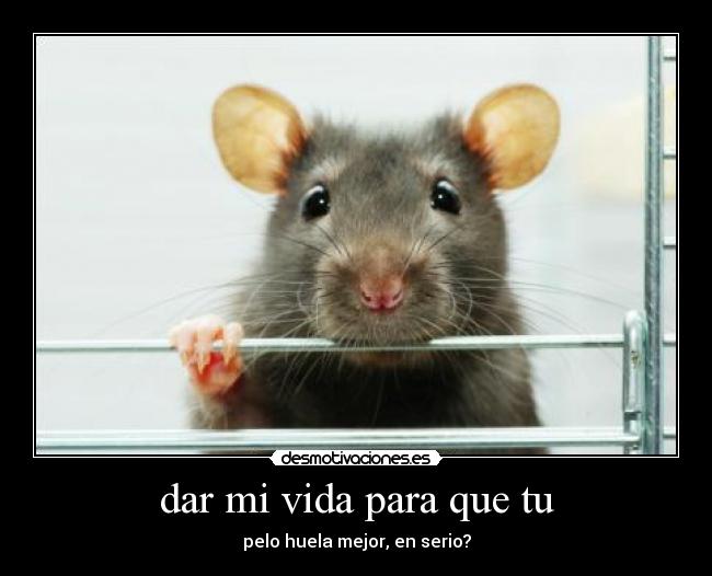 dar mi vida para que tu -