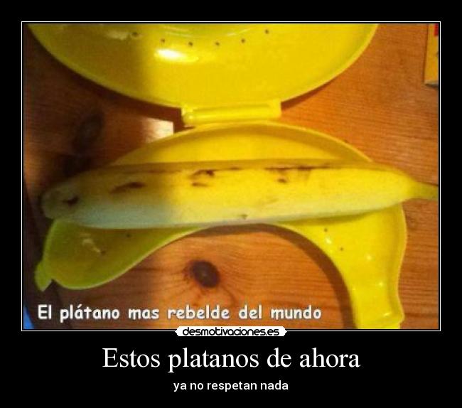 carteles platanos lol cola desmotivaciones