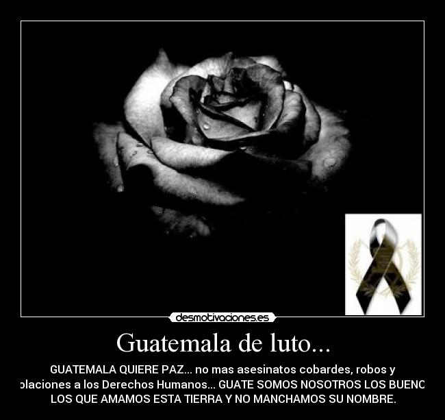 carteles patria desmotivaciones