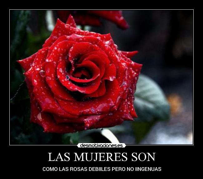 LAS MUJERES SON - 
