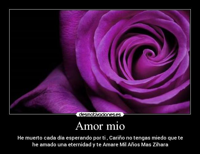 Amor mio - He muerto cada día esperando por ti , Cariño no tengas miedo que te
he amado una eternidad y te Amare Mil Años Mas Zihara