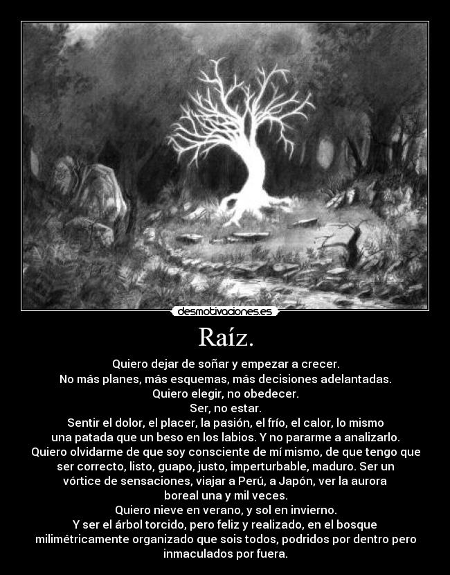 Raíz. - Quiero dejar de soñar y empezar a crecer.
No más planes, más esquemas, más decisiones adelantadas.
Quiero elegir, no obedecer.
Ser, no estar.
Sentir el dolor, el placer, la pasión, el frío, el calor, lo mismo
una patada que un beso en los labios. Y no pararme a analizarlo.
Quiero olvidarme de que soy consciente de mí mismo, de que tengo que
ser correcto, listo, guapo, justo, imperturbable, maduro. Ser un
vórtice de sensaciones, viajar a Perú, a Japón, ver la aurora
boreal una y mil veces.
Quiero nieve en verano, y sol en invierno.
Y ser el árbol torcido, pero feliz y realizado, en el bosque
milimétricamente organizado que sois todos, podridos por dentro pero
inmaculados por fuera.