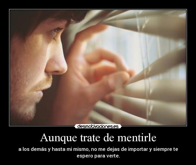 Aunque trate de mentirle - a los demás y hasta mi mismo, no me dejas de importar y siempre te
espero para verte.