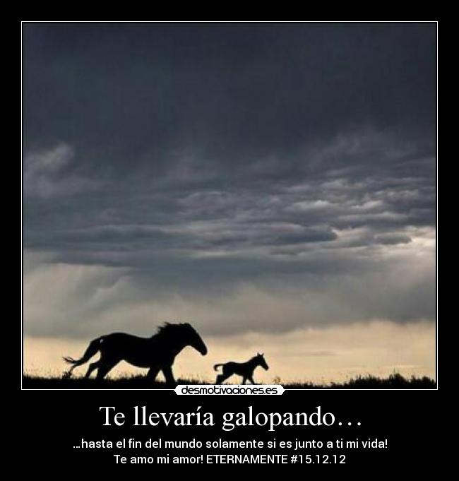 Te llevaría galopando… -