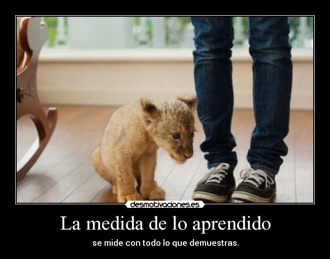 La medida de lo aprendido - se mide con todo lo que demuestras.