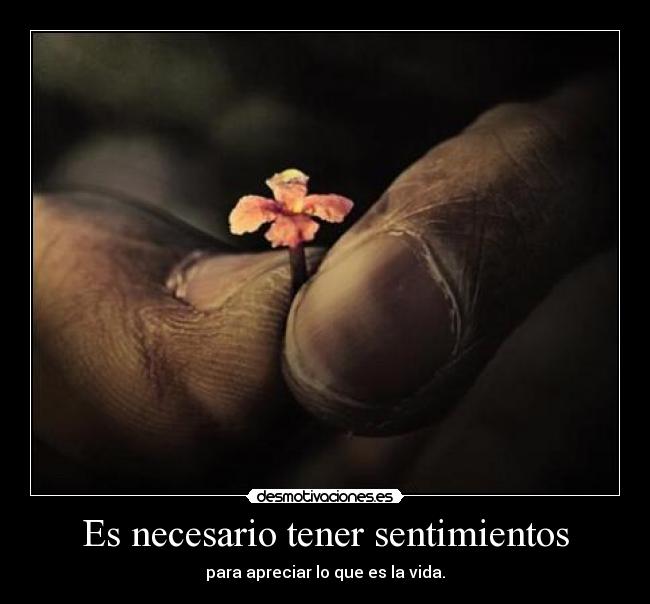 Es necesario tener sentimientos - para apreciar lo que es la vida.