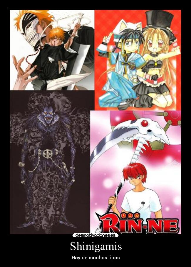 Shinigamis - Hay de muchos tipos