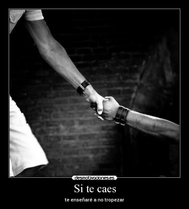 carteles quien tiene black berryme agregan pregunta desmotivaciones