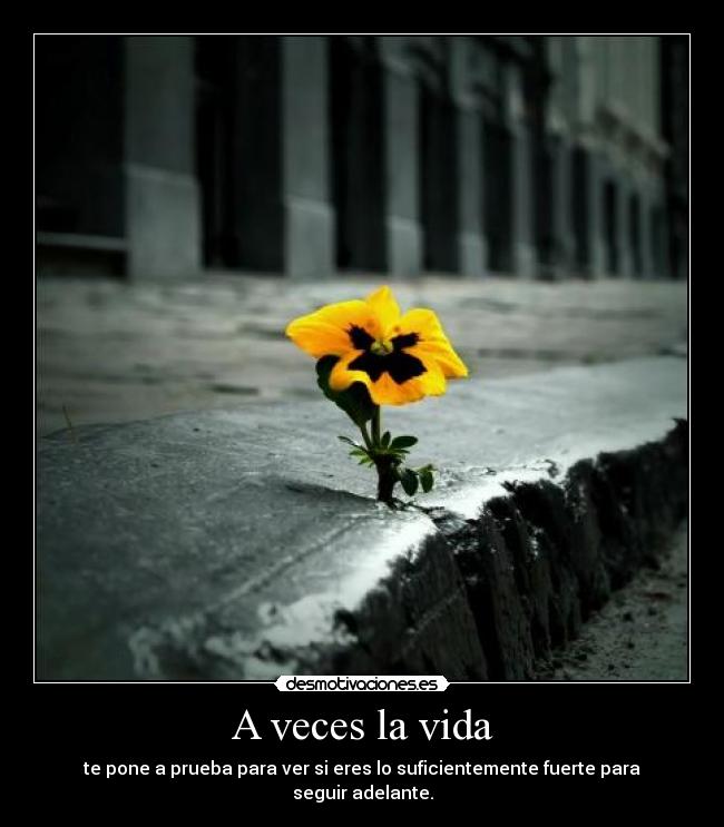 A veces la vida -